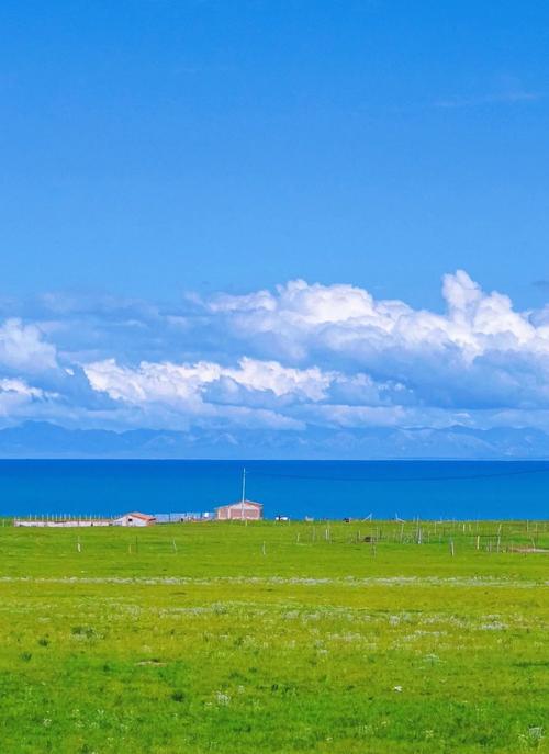 站群引流